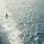 Pria Asal Jambi Nekat Loncat