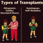 Sekretom dan Eksosom