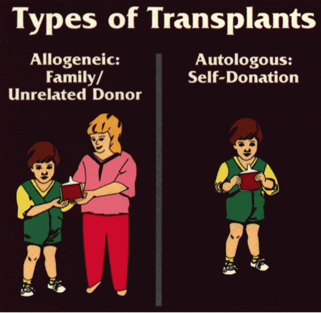 Sekretom dan Eksosom