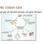 KFSHRC Bangun Fasilitas Terapi Gen