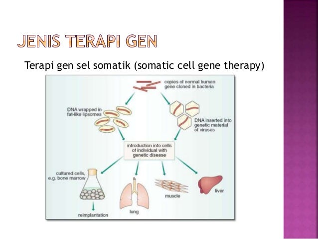 KFSHRC Bangun Fasilitas Terapi Gen