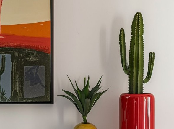 Perawatan Tanaman Kaktus