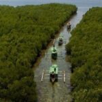 Jelajahi Keindahan Gili Petagan