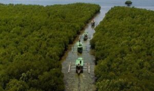 Jelajahi Keindahan Gili Petagan