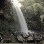 Paradise Tersembunyi Viral