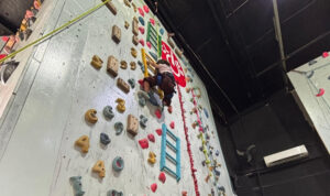 Manfaat Olahraga Panjat