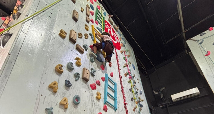 Manfaat Olahraga Panjat