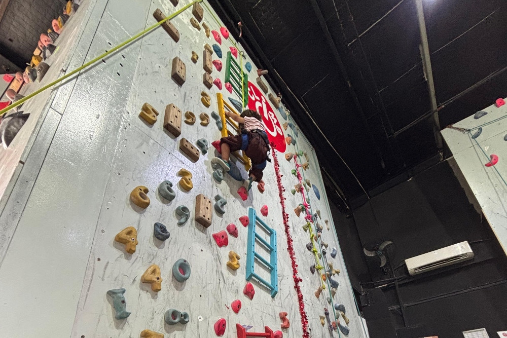 Manfaat Olahraga Panjat