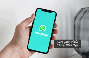 Cara Ganti Nada Dering WhatsApp