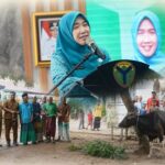 Hesnidar Haris