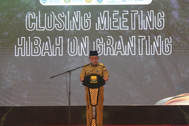 Pertumbuhan Hijau Nasional